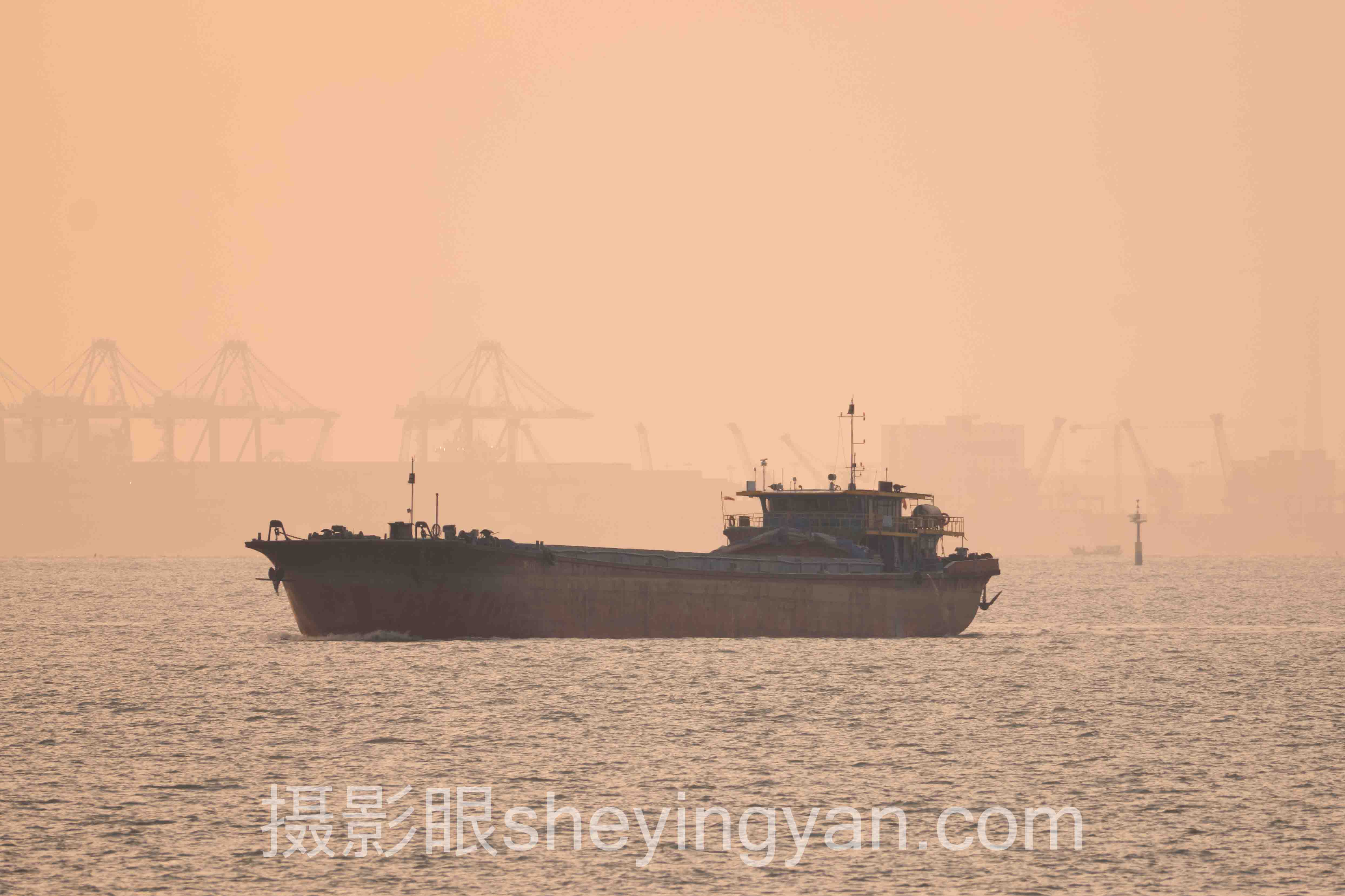 摄影知识分享价格多少：免费教程 vs 付费课程谁更值？