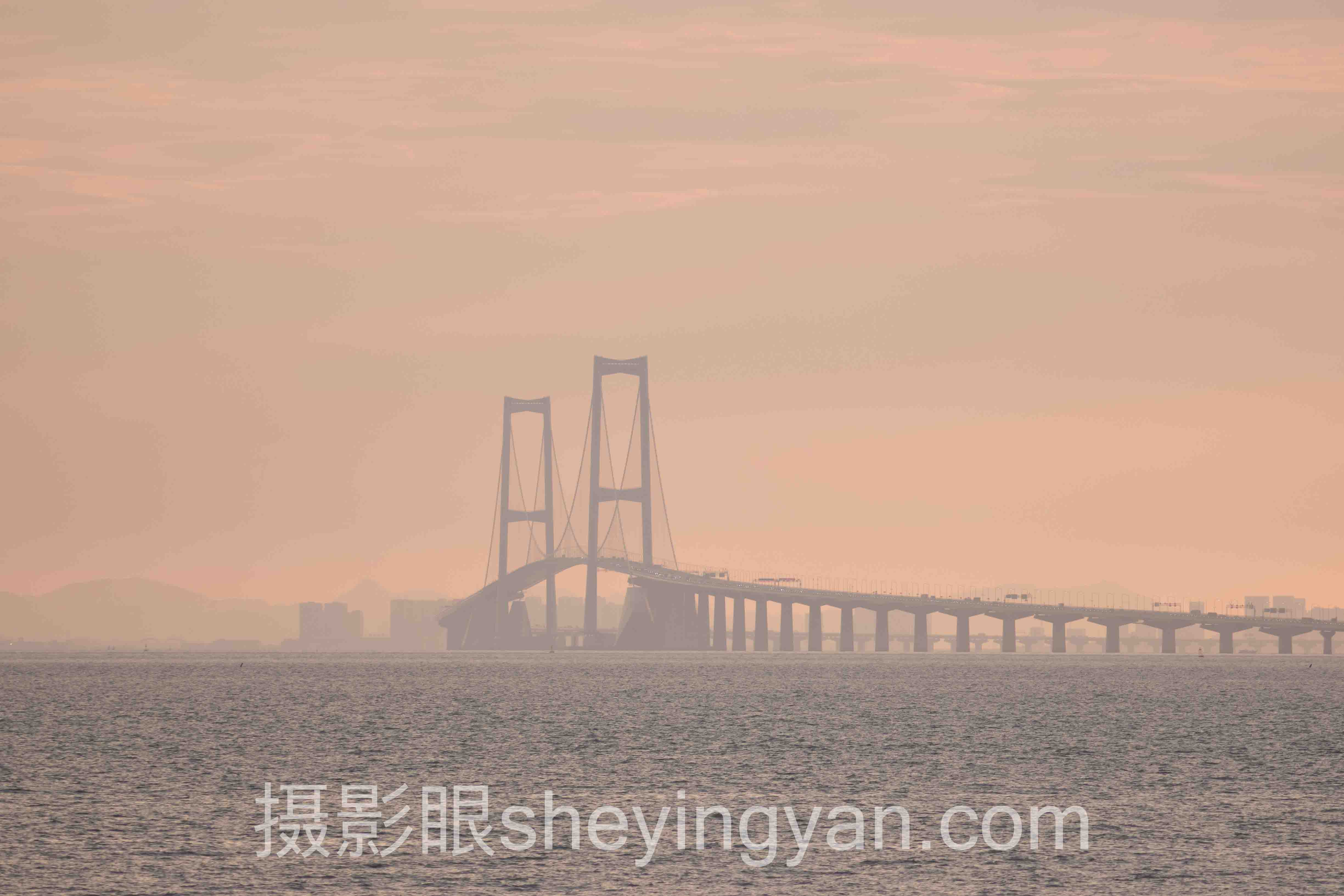 选「摄影照片点评课程」不踩坑：3大主流模式多维度对比指南