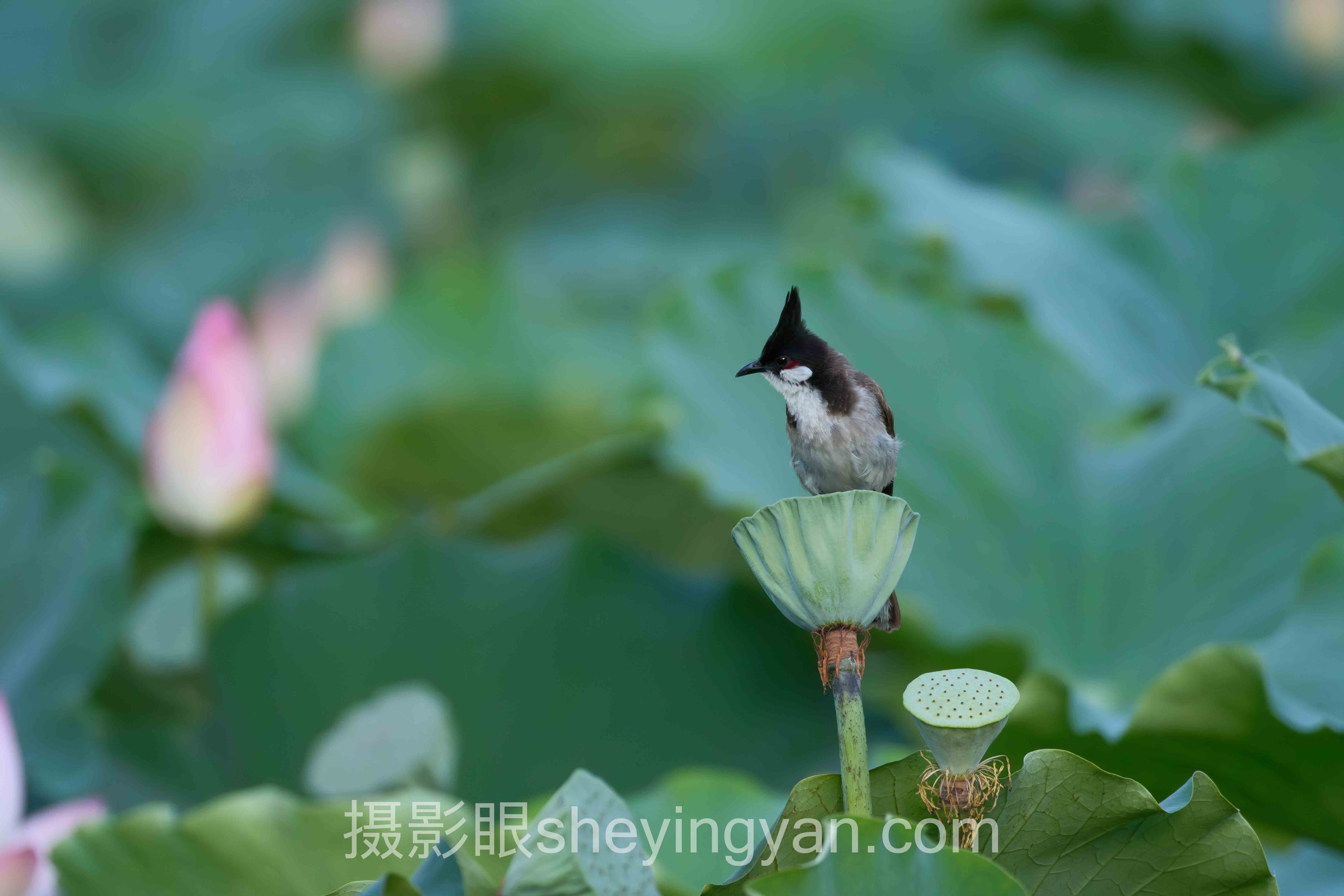 对话行业专家：附近新手学摄影培训班的关键洞察与前瞻