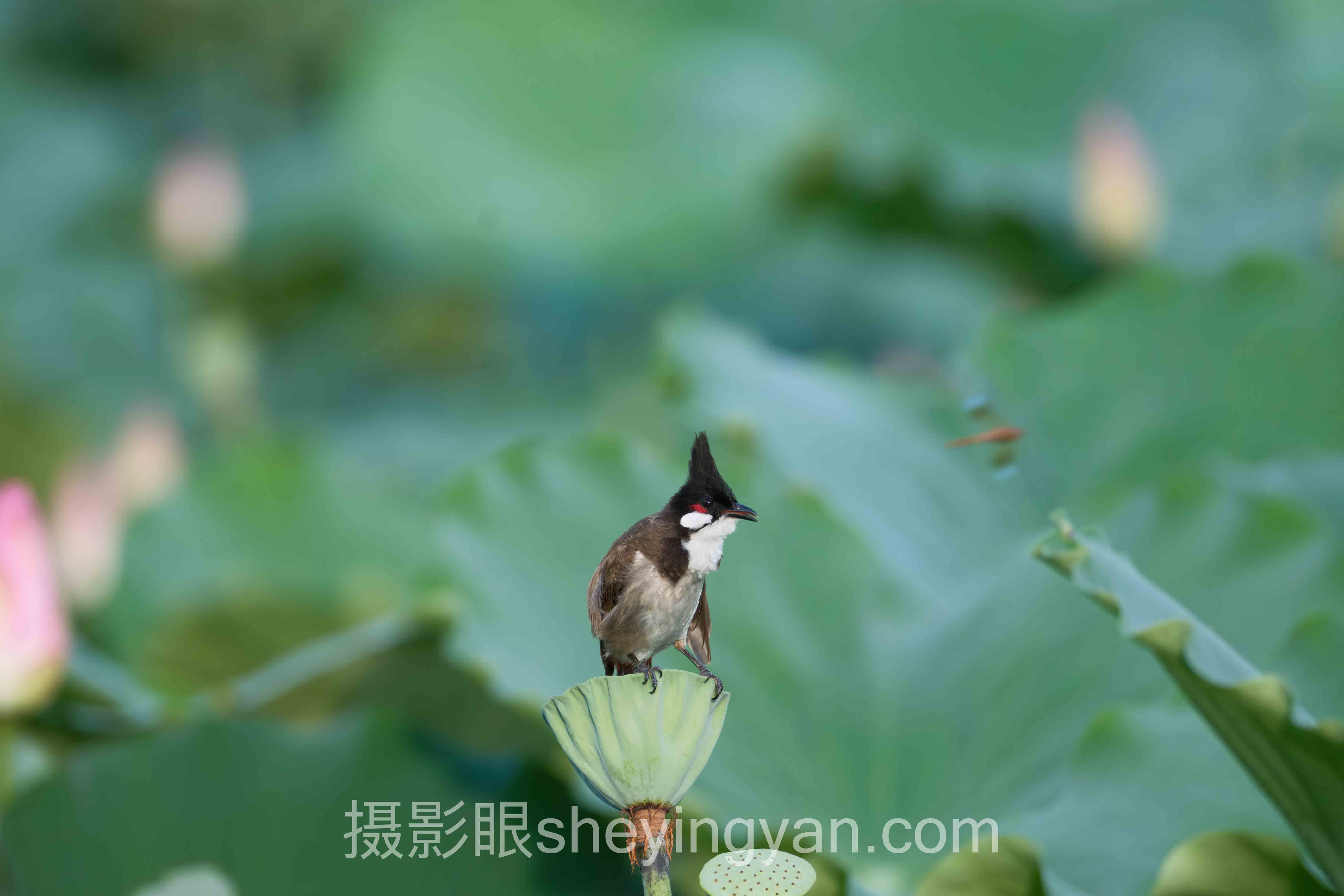 摄影知识分享教程：3个让你瞬间提升摄影水平的技巧