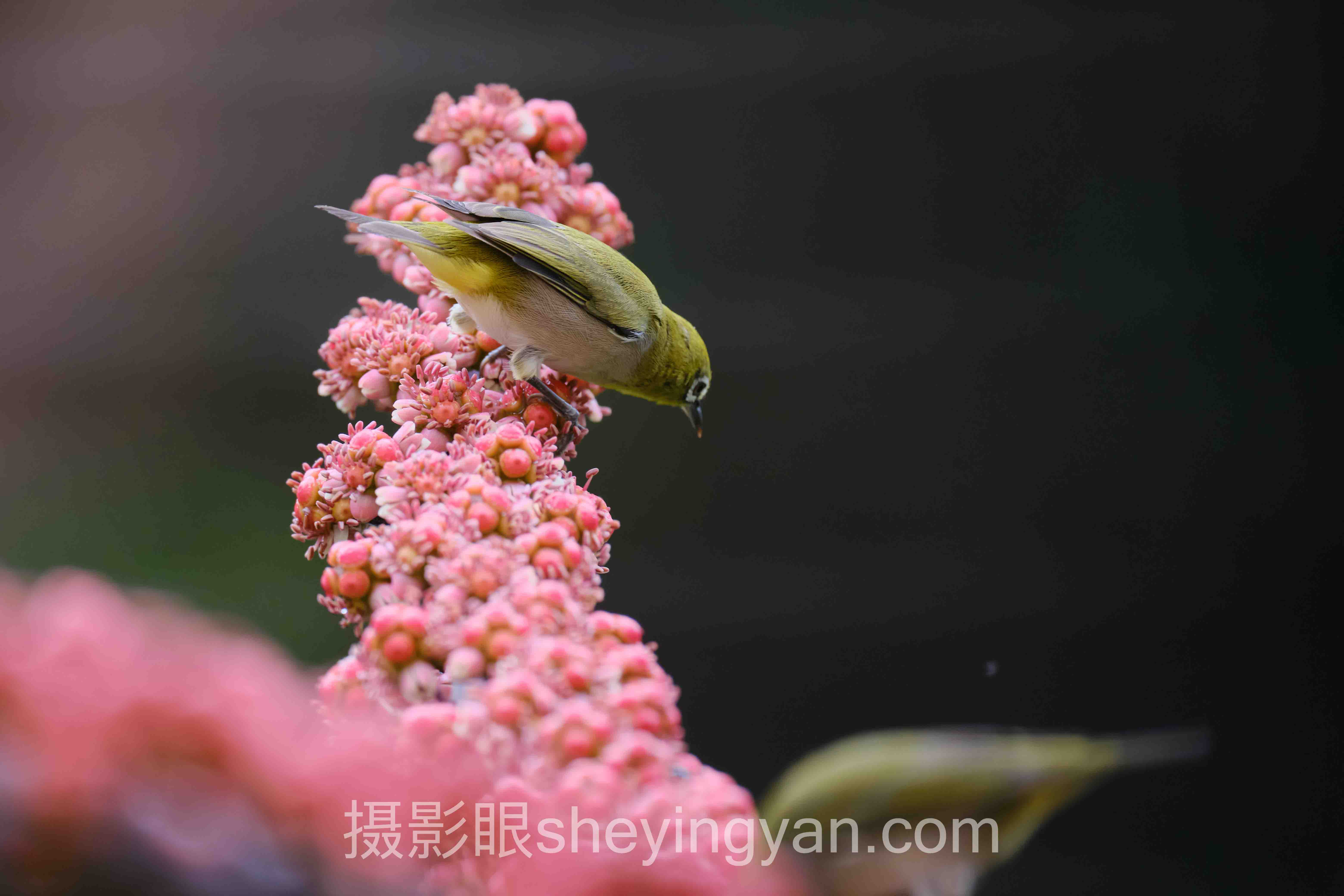 深度解析：摄影审美与色彩搭配的核心问题与答案