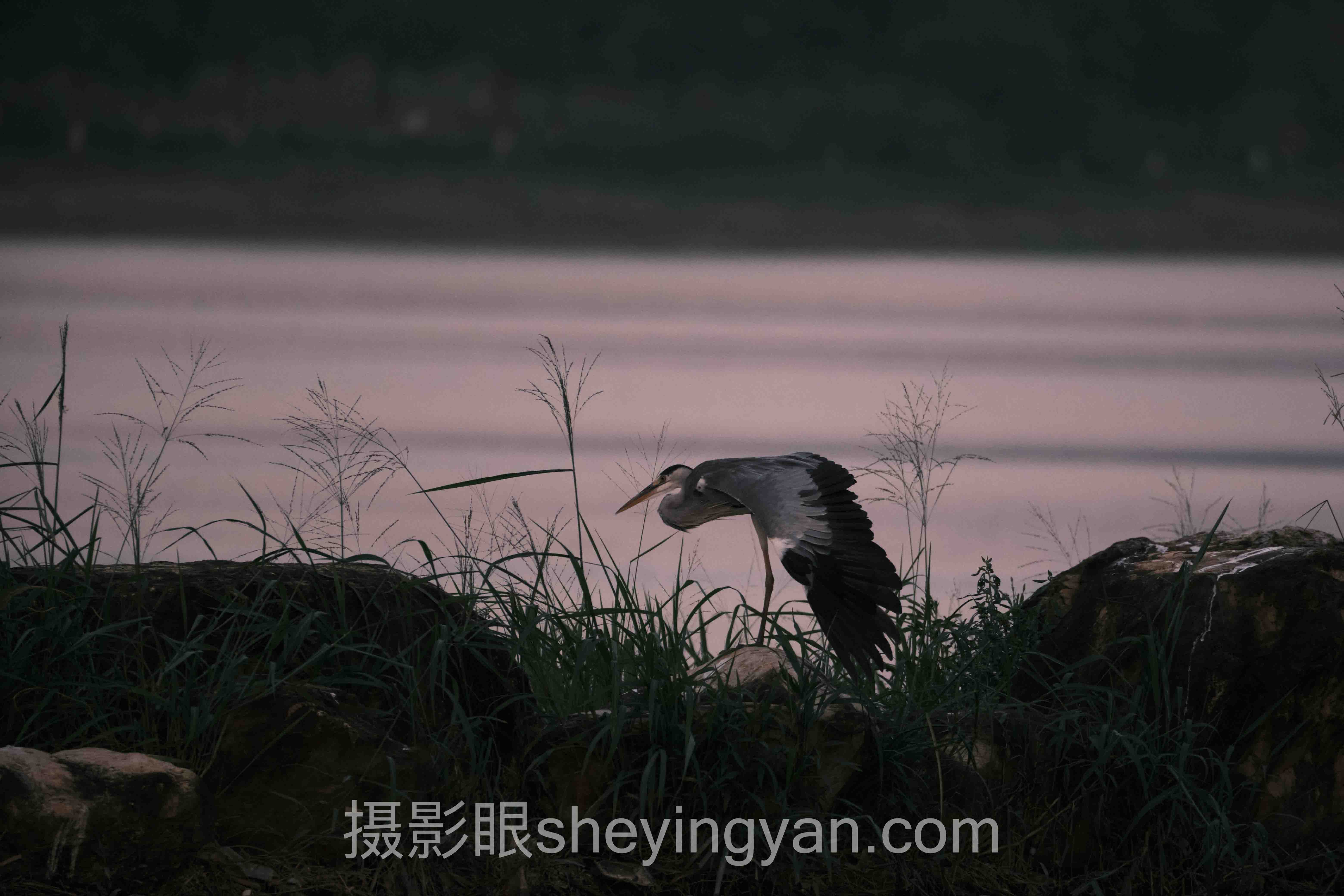 摄影眼官网sheyingyan.com