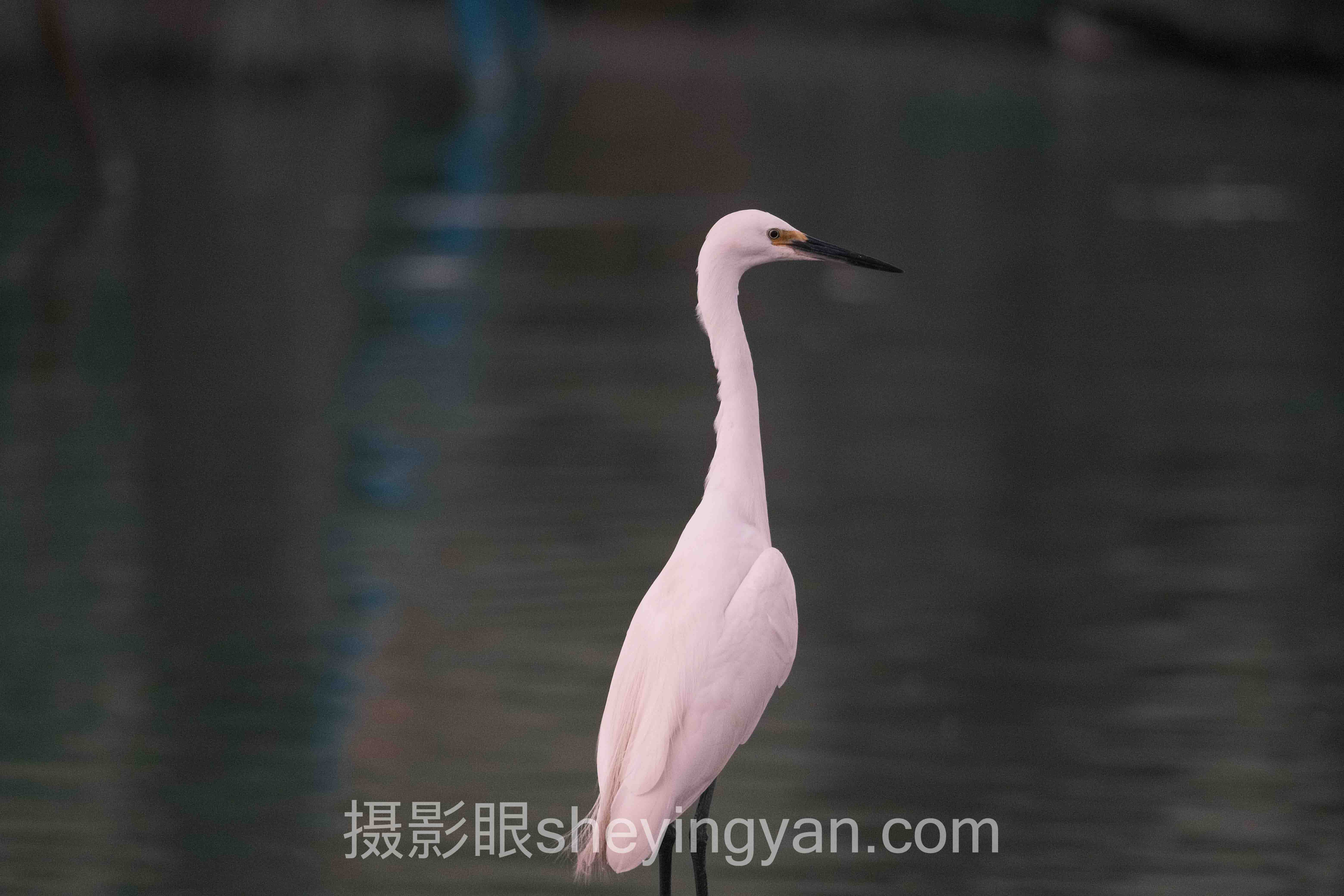 对话行业专家：附近新手学摄影培训班的关键洞察与前瞻