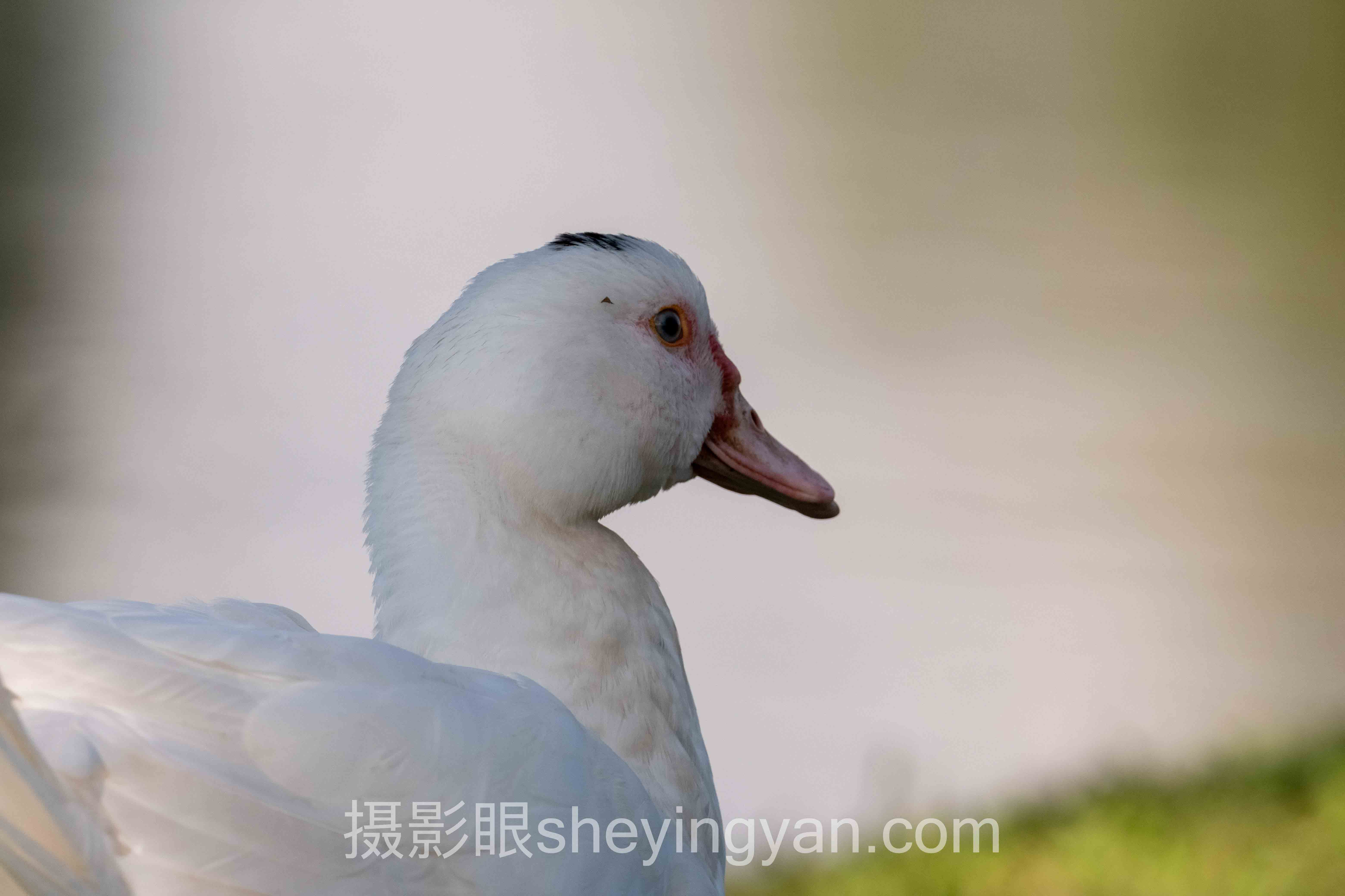 数据说话:北京摄影审美培训最新发展现状与趋势预判