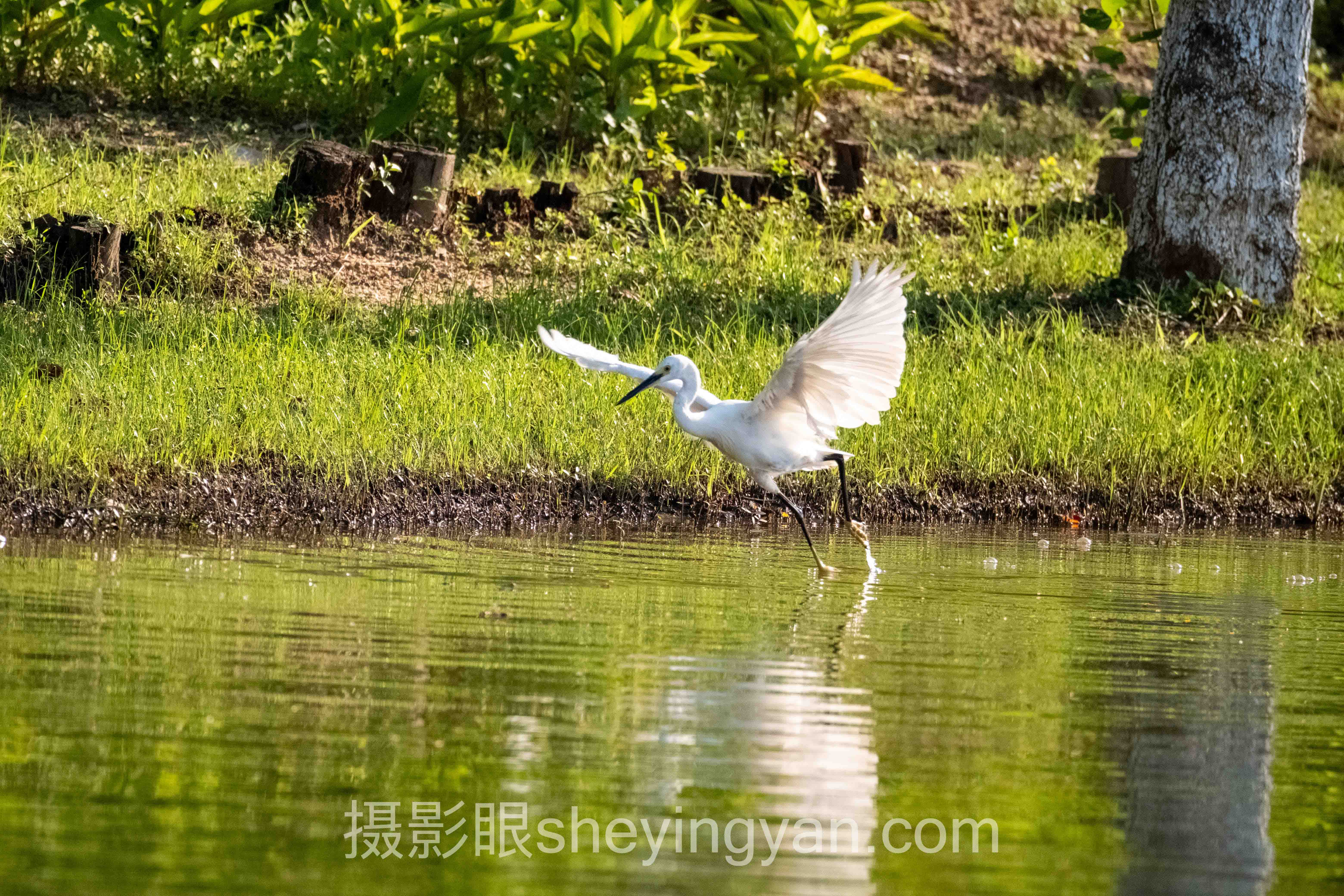 摄影眼官网sheyingyan.com怎么样？5个实测细节告诉你值不值得用